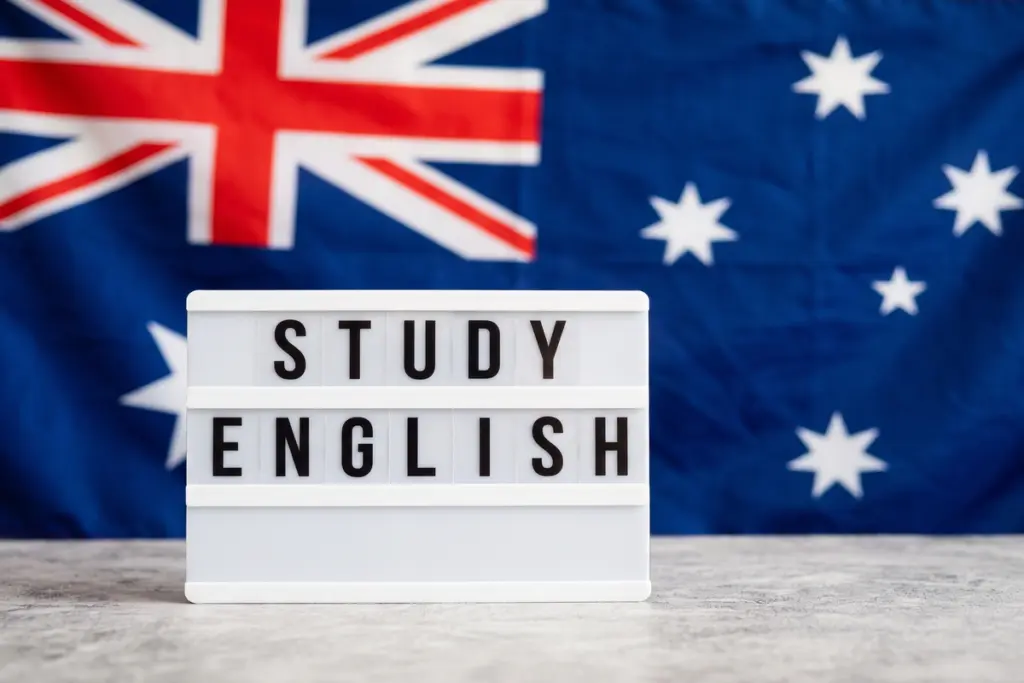 work and study programı nedir
