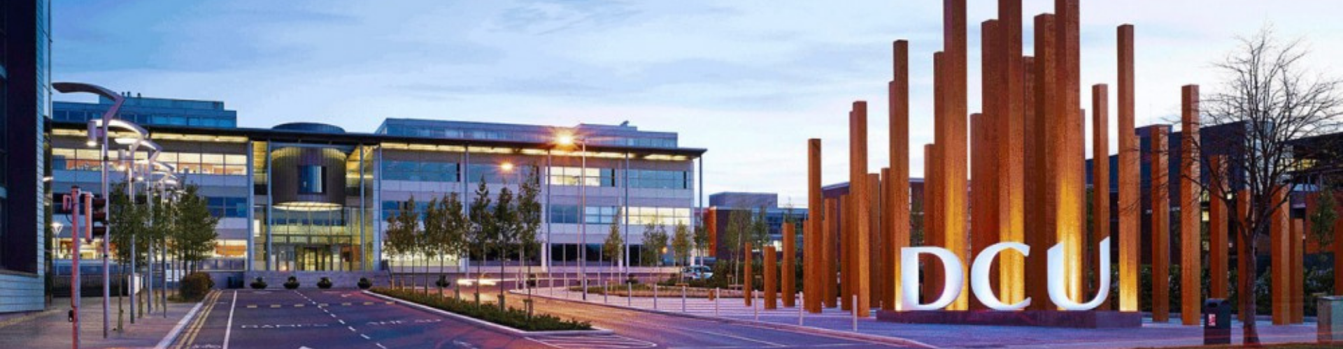 DCU-DUBLİN BANNER