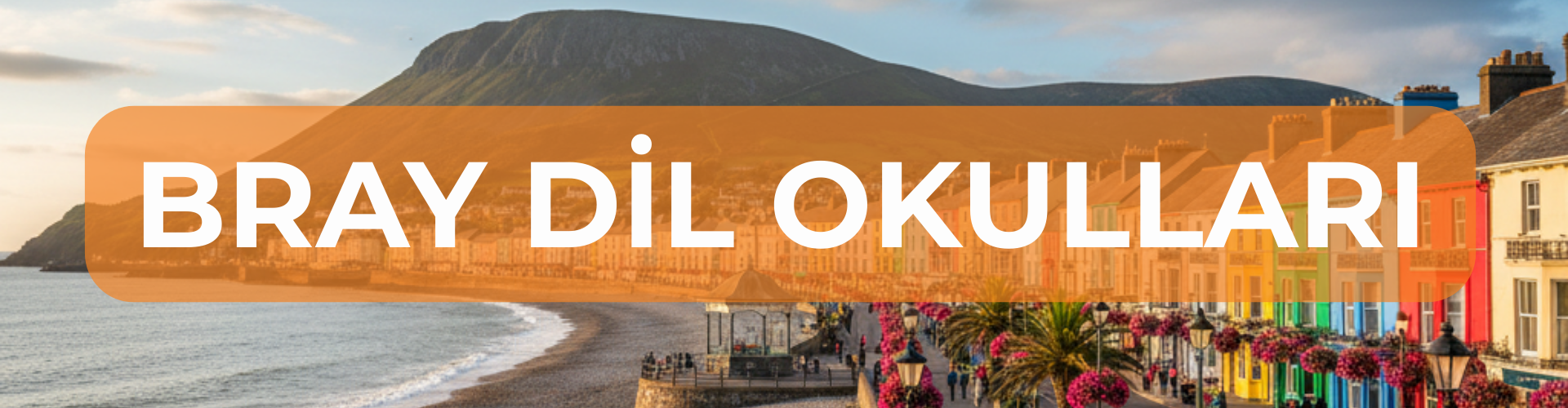 bray DİL OKULLARI BANNER