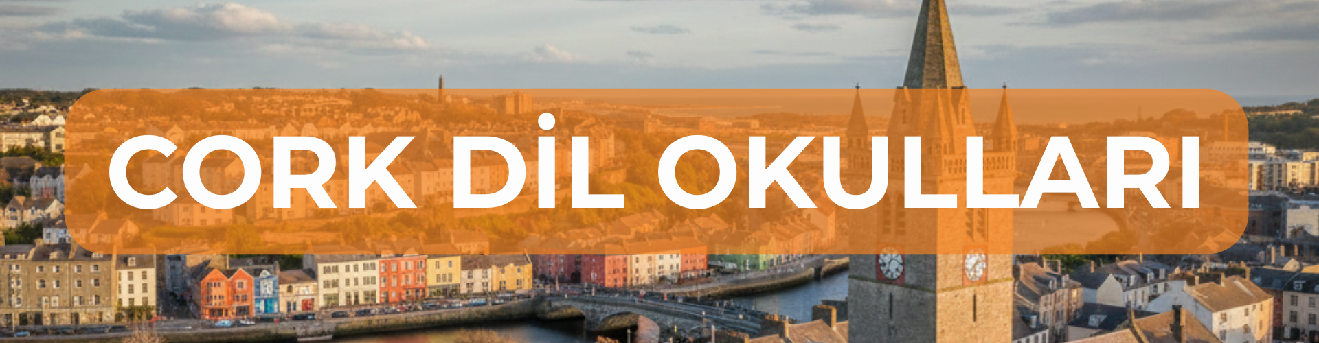 cork DİL OKULLARI BANNER