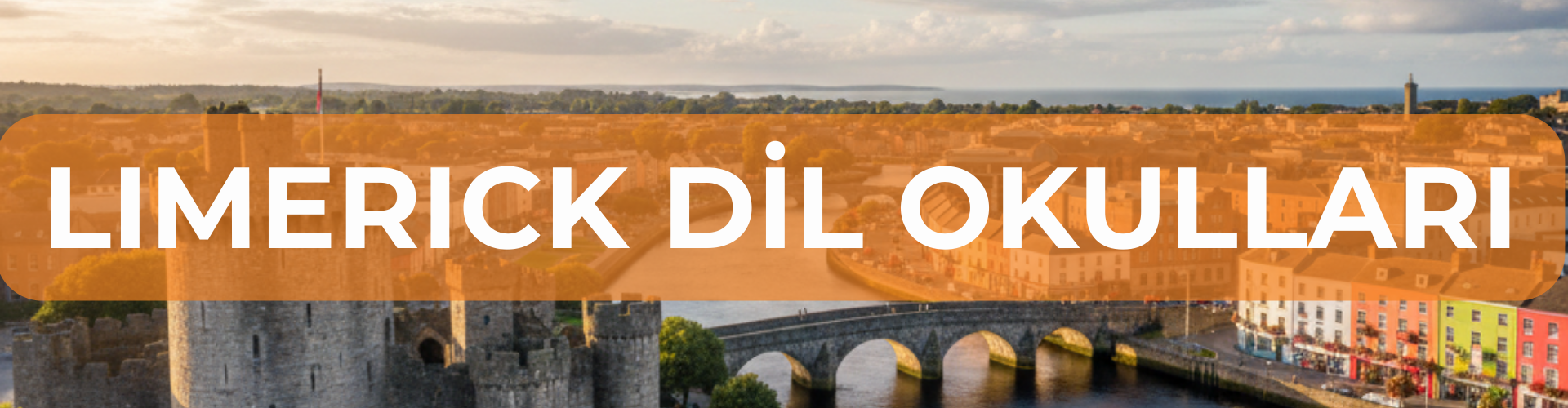 limerick DİL OKULLARI BANNER